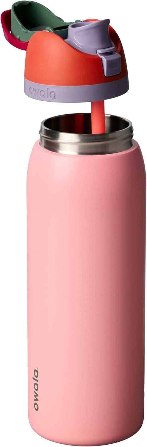 FreeSip Insulated Stainless Steel Water Bottle with Straw for Sports and Travel, BPA-Free, 32oz, Foggy Tide - Colors B