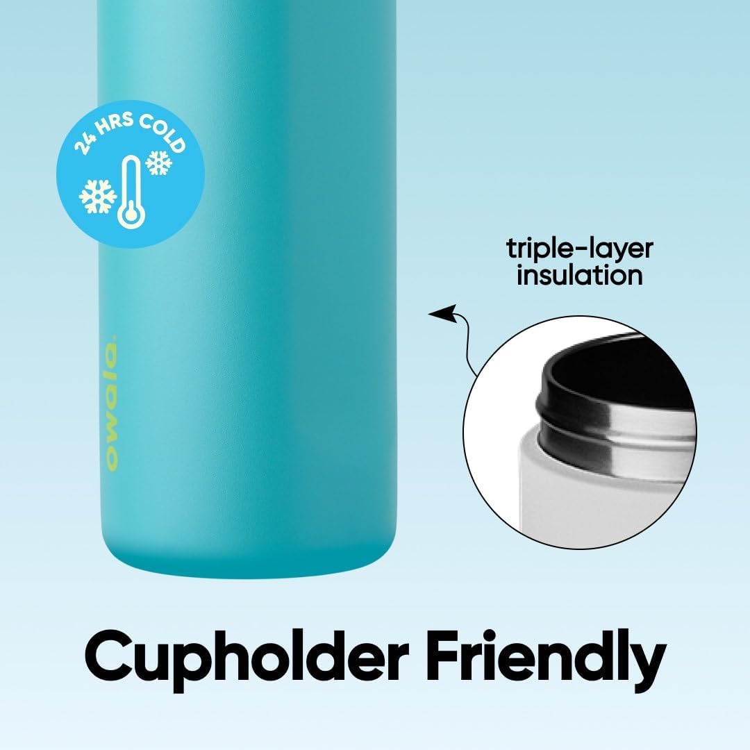 FreeSip Insulated Stainless Steel Water Bottle with Straw for Sports and Travel, BPA-Free, 32oz, Foggy Tide - Colors B