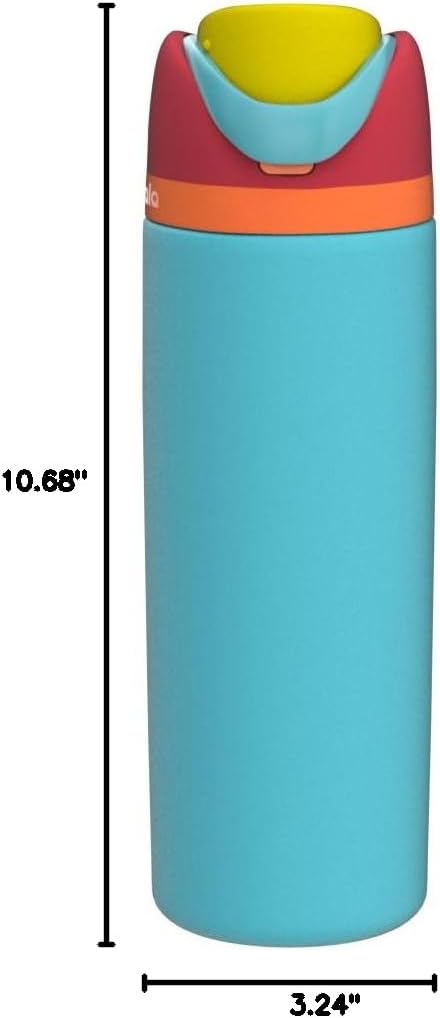 FreeSip Insulated Stainless Steel Water Bottle with Straw for Sports and Travel, BPA-Free, 32oz, Foggy Tide - Colors B