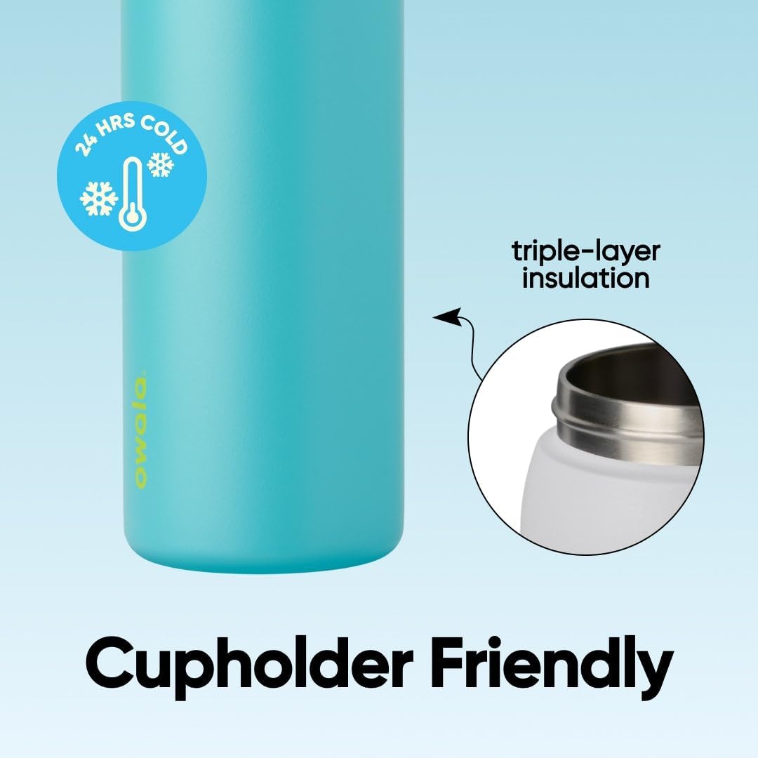 FreeSip Insulated Stainless Steel Water Bottle with Straw for Sports and Travel, BPA-Free, 32oz, Foggy Tide - Colors B