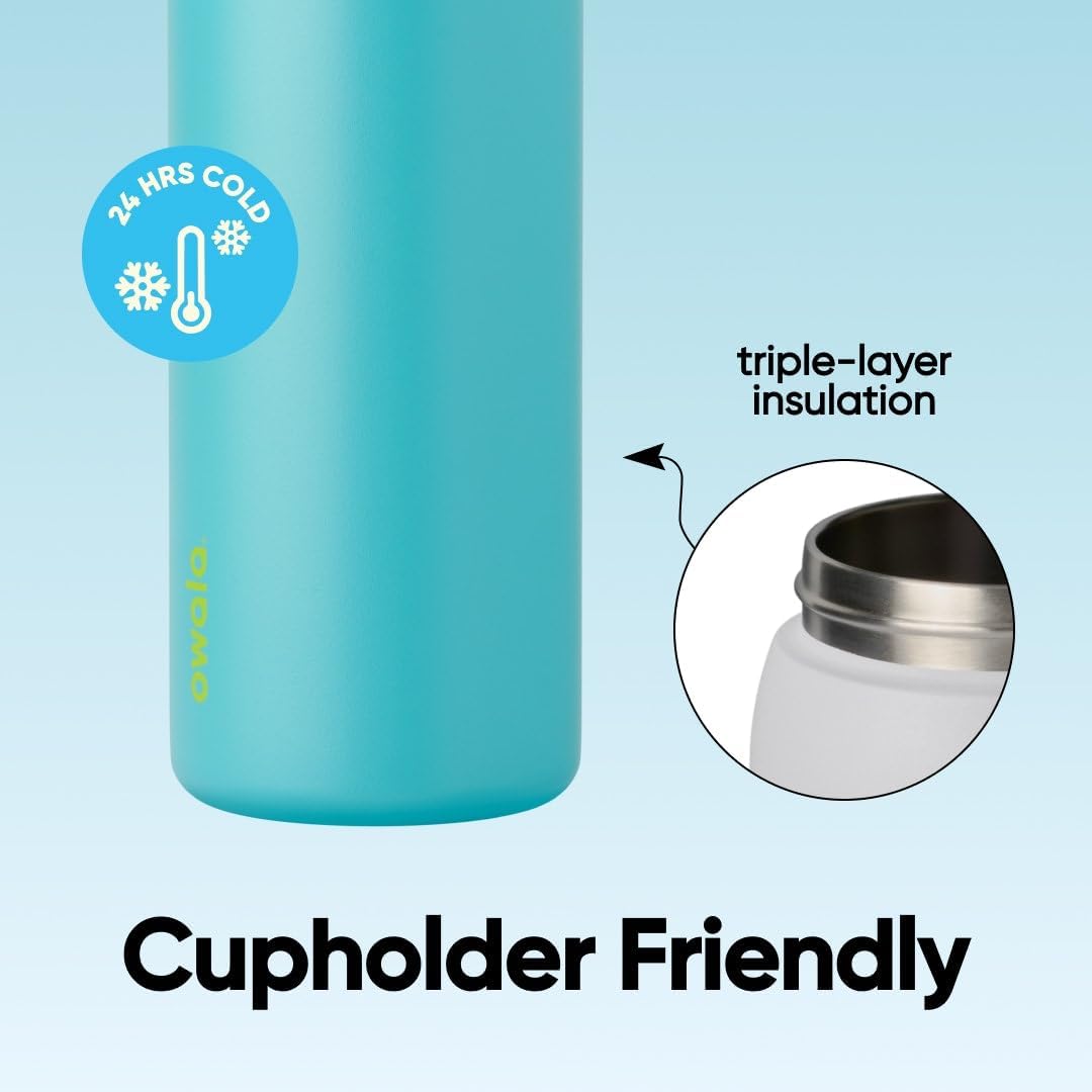 FreeSip Insulated Stainless Steel Water Bottle with Straw for Sports and Travel, BPA-Free, 32oz, Foggy Tide - Colors B
