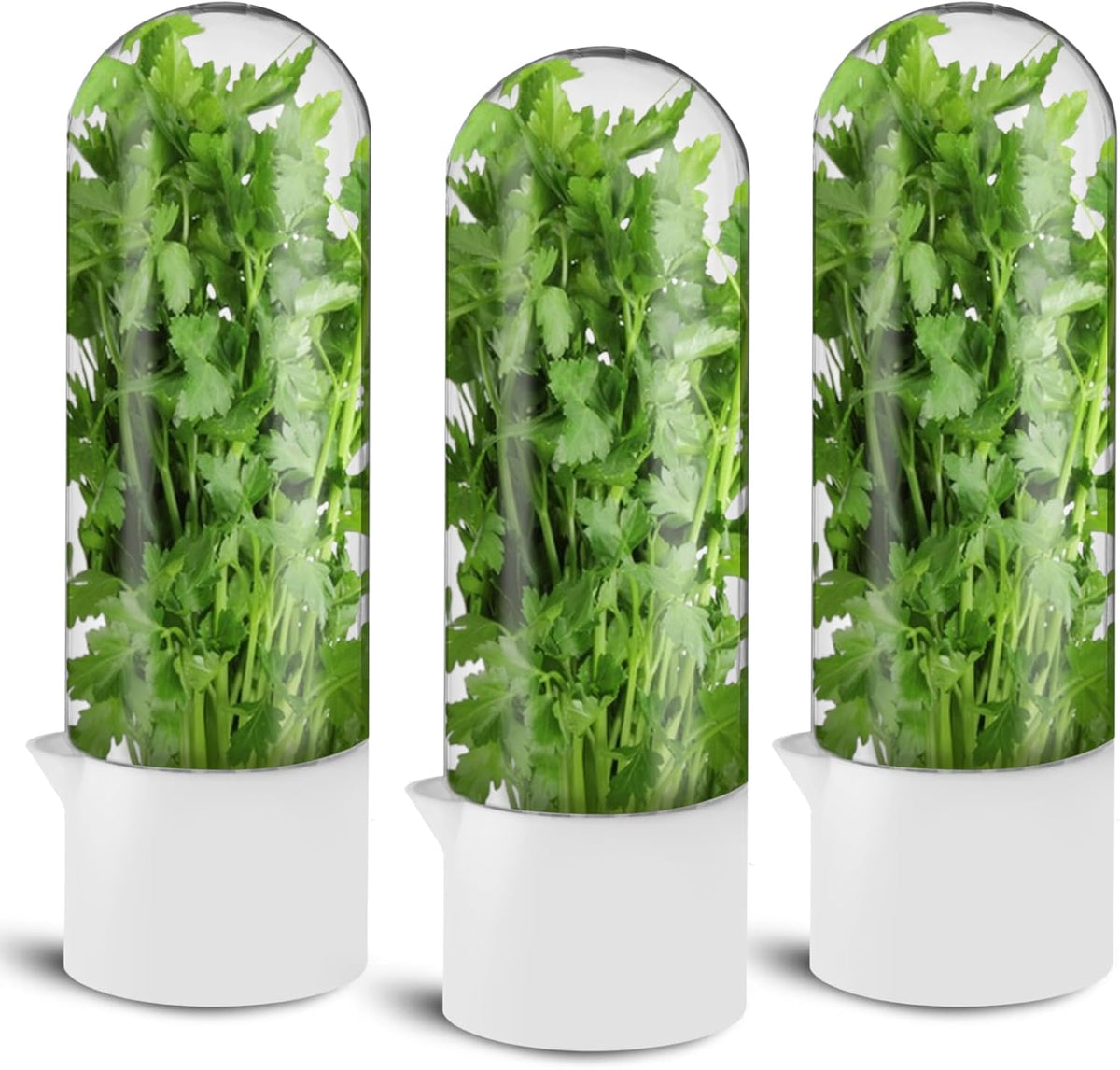 3 Pack Herb Saver for Refrigerator Large Fresh Herb Keeper Cilantro Container for Refrigerator Vegetable Preservation Container for Cilantro Asparagus Mint Rosemary Parsley Basil for 2-3 Weeks