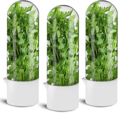 3 Pack Herb Saver for Refrigerator Large Fresh Herb Keeper Cilantro Container for Refrigerator Vegetable Preservation Container for Cilantro Asparagus Mint Rosemary Parsley Basil for 2-3 Weeks