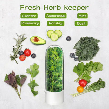 Herb Keeper for Refrigerator, Herb Saver for Refrigerator, Cilantro Container, Vegetable Preservation Bottle for Cilantro, Mint, Parsley, Asparagus, Keeps Greens Fresh for 2-3 Weeks