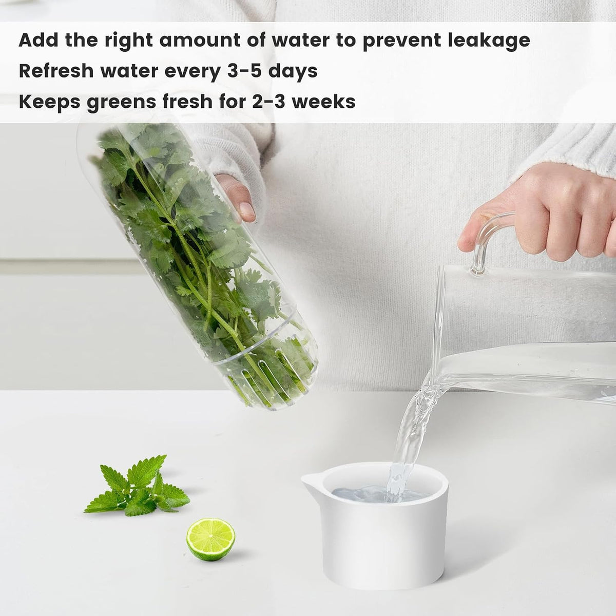 Herb Keeper for Refrigerator, Herb Saver for Refrigerator, Cilantro Container, Vegetable Preservation Bottle for Cilantro, Mint, Parsley, Asparagus, Keeps Greens Fresh for 2-3 Weeks