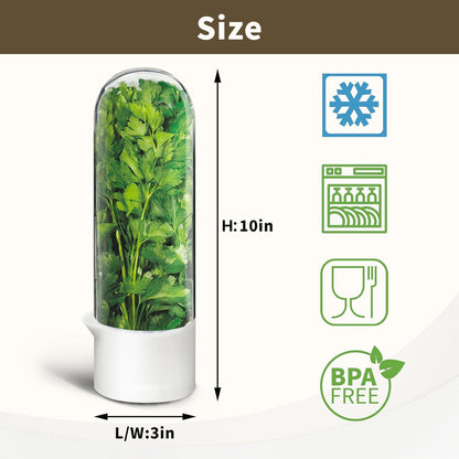 Herb Keeper for Refrigerator, Herb Saver for Refrigerator, Cilantro Container, Vegetable Preservation Bottle for Cilantro, Mint, Parsley, Asparagus, Keeps Greens Fresh for 2-3 Weeks