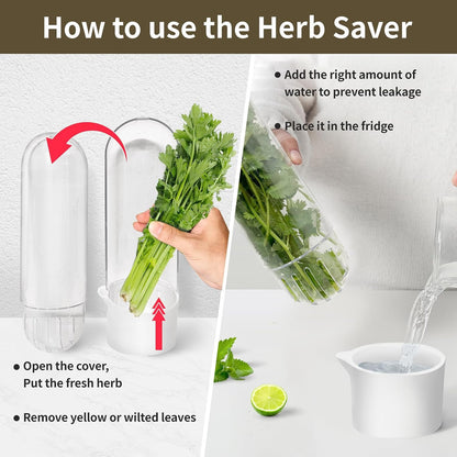 Herb Keeper for Refrigerator, Herb Saver for Refrigerator, Cilantro Container, Vegetable Preservation Bottle for Cilantro, Mint, Parsley, Asparagus, Keeps Greens Fresh for 2-3 Weeks