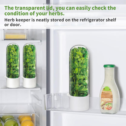 Herb Keeper for Refrigerator, Herb Saver for Refrigerator, Cilantro Container, Vegetable Preservation Bottle for Cilantro, Mint, Parsley, Asparagus, Keeps Greens Fresh for 2-3 Weeks