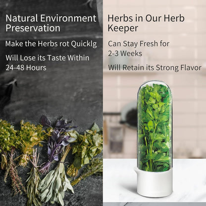 Herb Keeper for Refrigerator, Herb Saver for Refrigerator, Cilantro Container, Vegetable Preservation Bottle for Cilantro, Mint, Parsley, Asparagus, Keeps Greens Fresh for 2-3 Weeks
