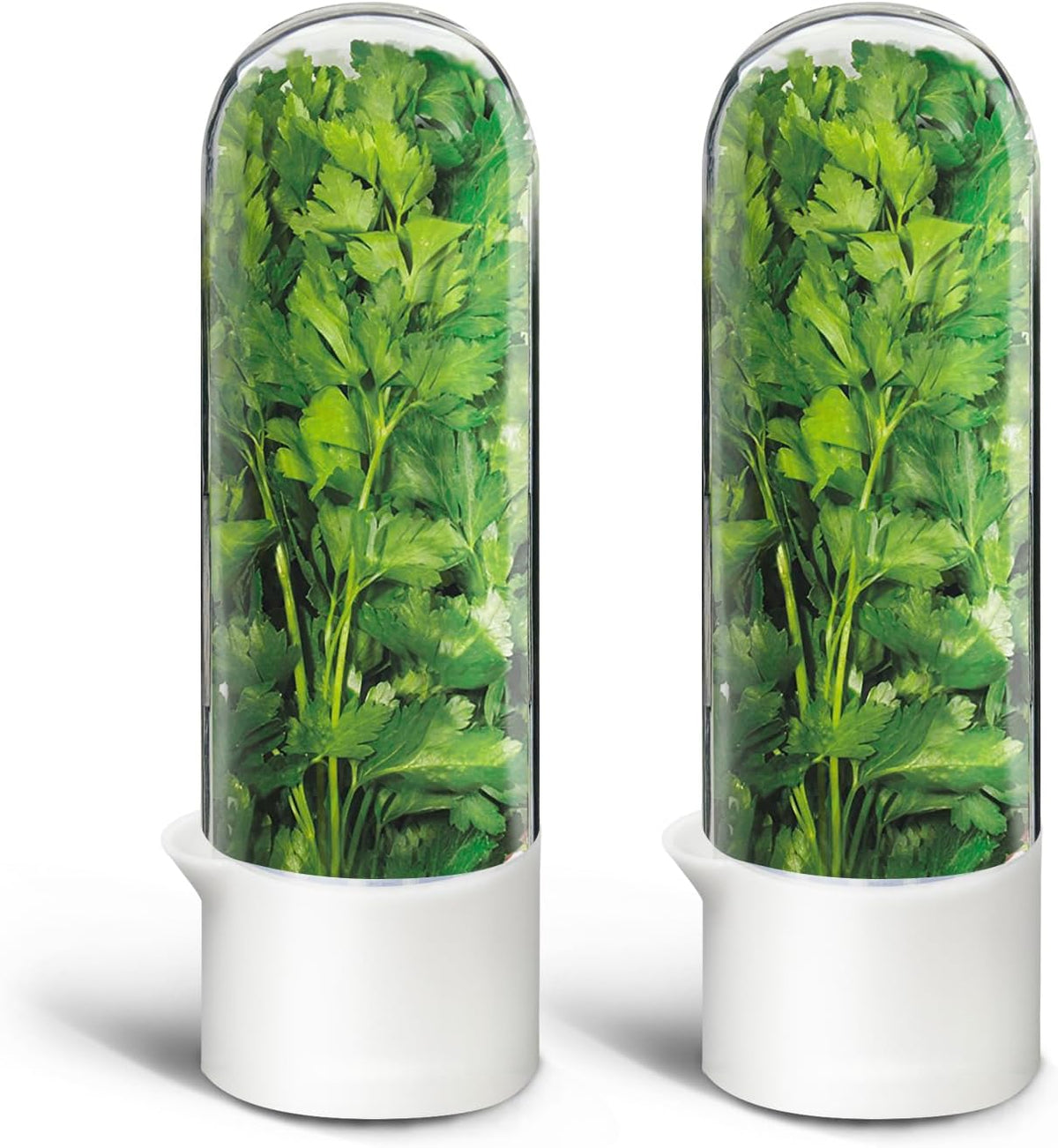 Herb Keeper for Refrigerator, Herb Saver for Refrigerator, Cilantro Container, Vegetable Preservation Bottle for Cilantro, Mint, Parsley, Asparagus, Keeps Greens Fresh for 2-3 Weeks