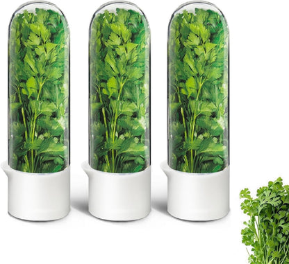 Herb Keeper for Refrigerator, Herb Saver for Refrigerator, Cilantro Container, Vegetable Preservation Bottle for Cilantro, Mint, Parsley, Asparagus, Keeps Greens Fresh for 2-3 Weeks
