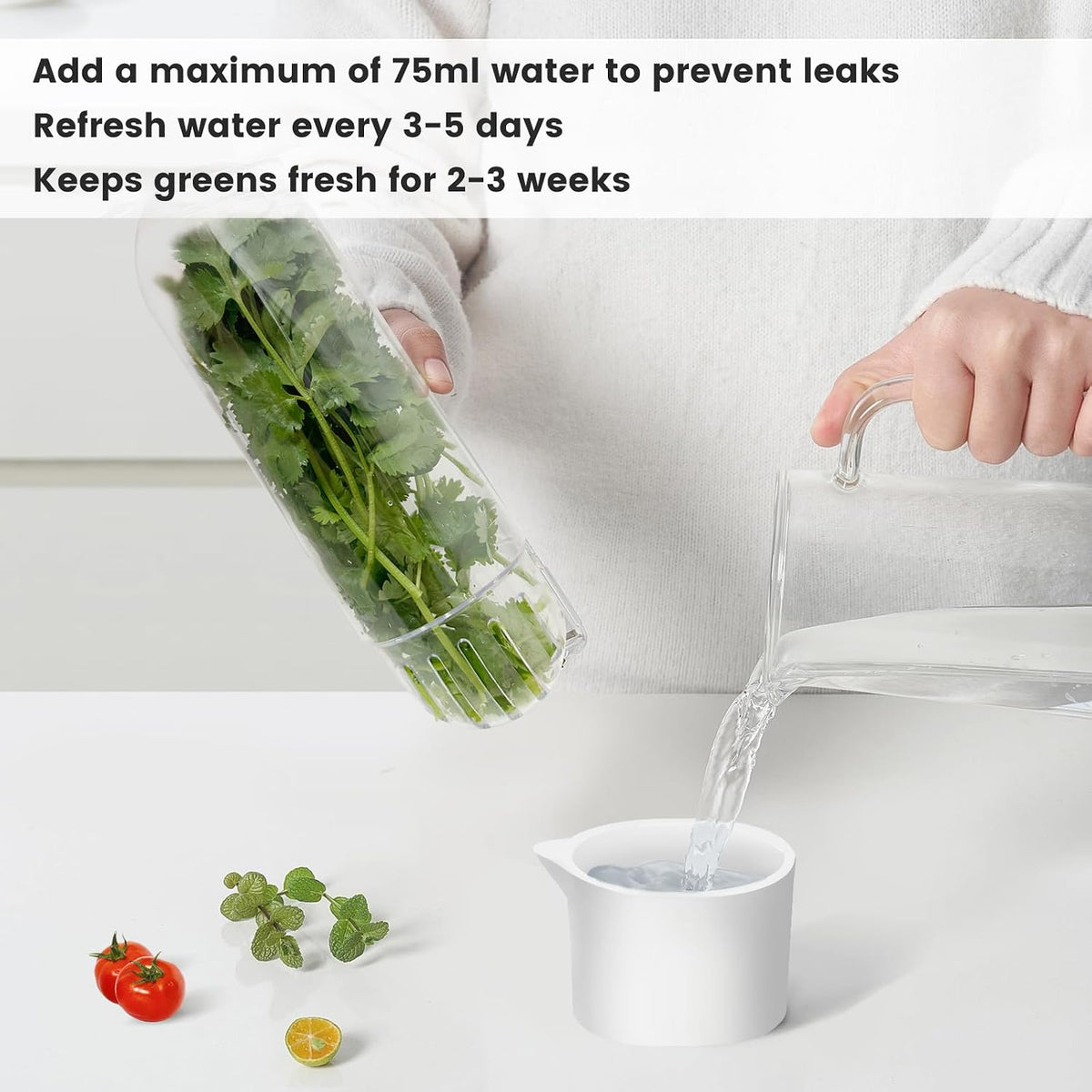 Herb Keeper for Refrigerator, Herb Saver for Refrigerator, Cilantro Container, Vegetable Preservation Bottle for Cilantro, Mint, Parsley, Asparagus, Keeps Greens Fresh for 2-3 Weeks