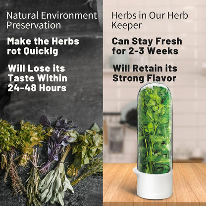 Herb Keeper for Refrigerator, Herb Saver for Refrigerator, Cilantro Container, Vegetable Preservation Bottle for Cilantro, Mint, Parsley, Asparagus, Keeps Greens Fresh for 2-3 Weeks
