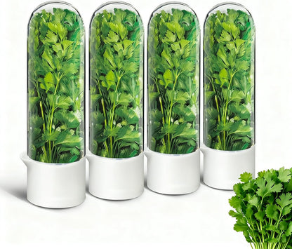Herb Keeper for Refrigerator, Herb Saver for Refrigerator, Cilantro Container, Vegetable Preservation Bottle for Cilantro, Mint, Parsley, Asparagus, Keeps Greens Fresh for 2-3 Weeks