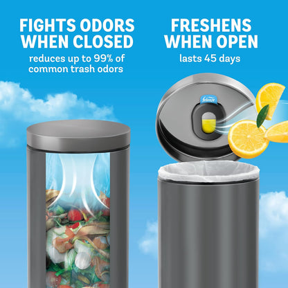 Odor Fighter, Can Air Freshener, Stick-On Deodorizer for Garbage Cans, Diaper Pails, Works with Scented Bags, Fresh Lemon and Linen & Sky Scents, 2 Holders + 2 Refills
