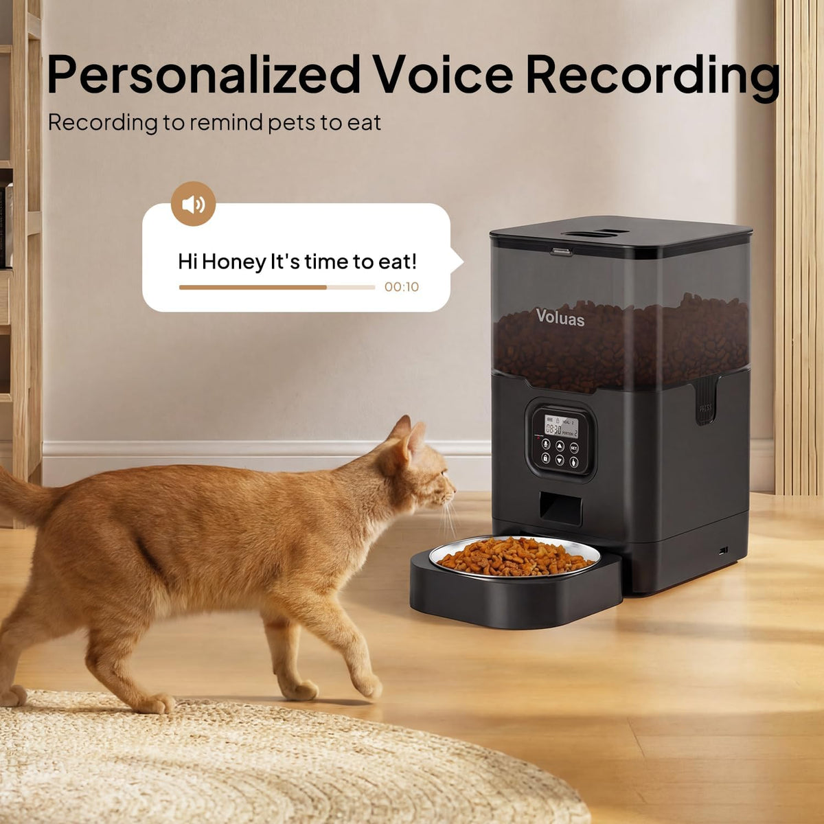 Automatic Cat Feeder, 4L Timed Dry Food Dispenser for Cats & Dogs
