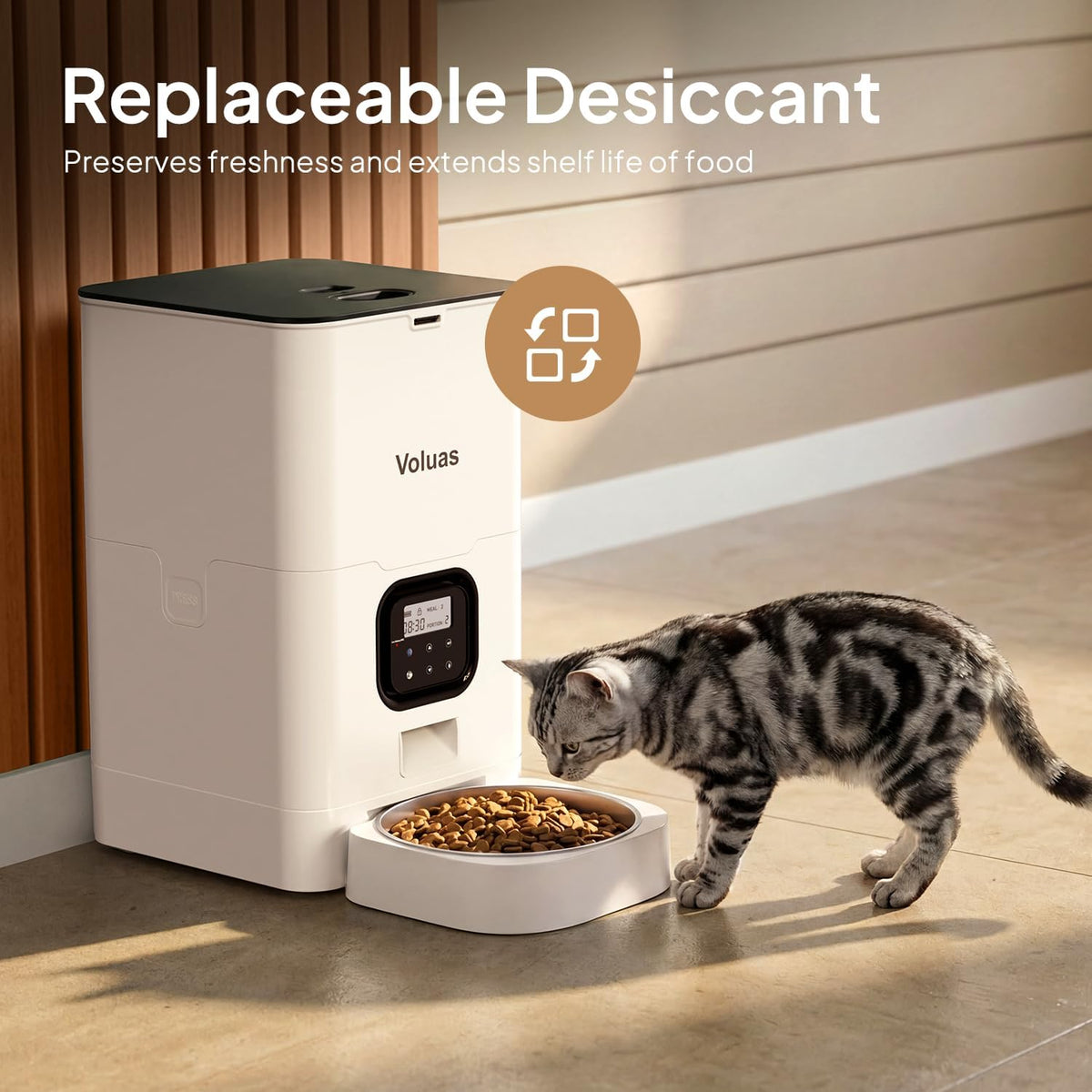 Automatic Cat Feeder, 4L Timed Dry Food Dispenser for Cats & Dogs