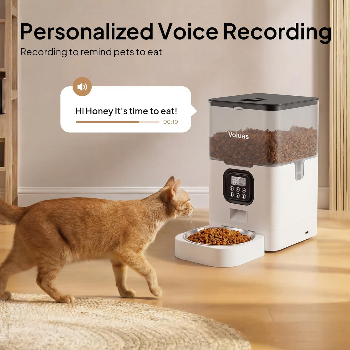 Automatic Cat Feeder, 4L Timed Dry Food Dispenser for Cats & Dogs