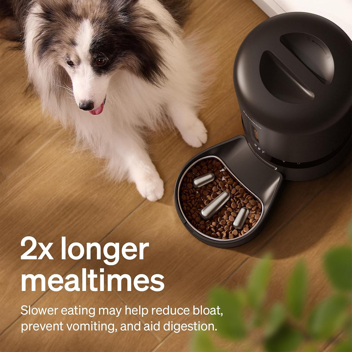 Automatic Cat Feeder, 5G WiFi Automatic Dog Food Dispenser with Freshness Preservation, 5L Timed Pet Feeder with Low Food Sensor, Up to 10 Meals Per Day, Granary Black