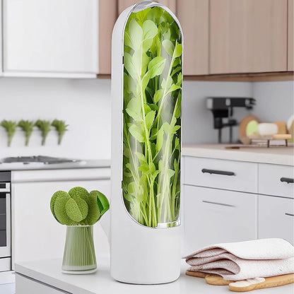 Herb Saver for Refrigerator, Herb Saver Pod Cilantro Containers for Refrigerator, Fresh Herb Keeper for Cilantro, Parsley, Asparagus, Mint, Keeps Vegetables for 2-3 Weeks