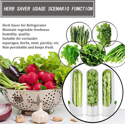 Herb Saver for Refrigerator, Herb Saver Pod Cilantro Containers for Refrigerator, Fresh Herb Keeper for Cilantro, Parsley, Asparagus, Mint, Keeps Vegetables for 2-3 Weeks