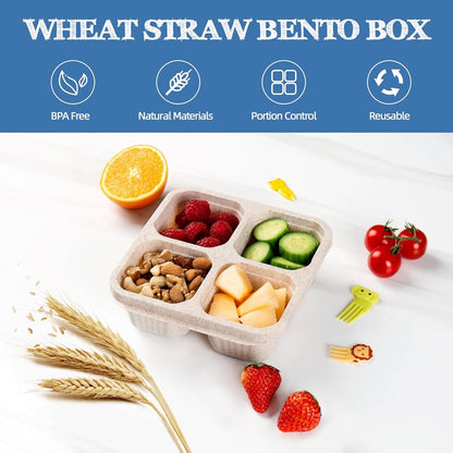 6 Pack Bento Box, 4 Compartment Lunchable Snack Containers with Lids for Meal Prep, School, Travel, Reusable Divided Lunch Food Container for Adults, Kids, Toddlers