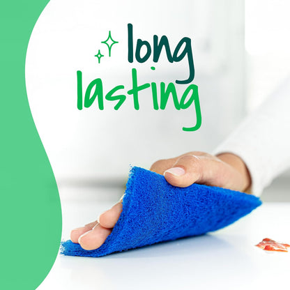 Zero Scratch Scouring Pad