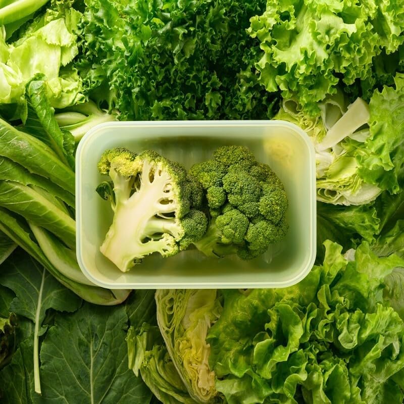 Fresh-Block Plastic Food Storage Container | Produce Storage Containers for Fridge | Vegetable & Fruit Storage Containers for Fridge, Airtight Storage, Microwave & Dishwasher Safe, 3.2L