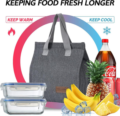 TELLUMO Insulated Lunch Bag for Men Women, Large Reusable Leakproof Lunch Box Container, Small Portable Thermal Snack Bag, Reusable Travel Office Work Beach Cooler Tote Bag for Adults, Grey
