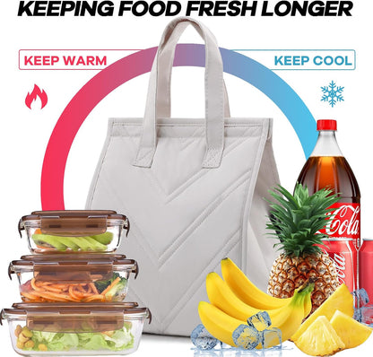 TELLUMO Insulated Lunch Bag for Men Women, Large Reusable Leakproof Lunch Box Container, Small Portable Thermal Snack Bag, Reusable Travel Office Work Beach Cooler Tote Bag for Adults, Grey
