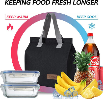 TELLUMO Insulated Lunch Bag for Men Women, Large Reusable Leakproof Lunch Box Container, Small Portable Thermal Snack Bag, Reusable Travel Office Work Beach Cooler Tote Bag for Adults, Grey