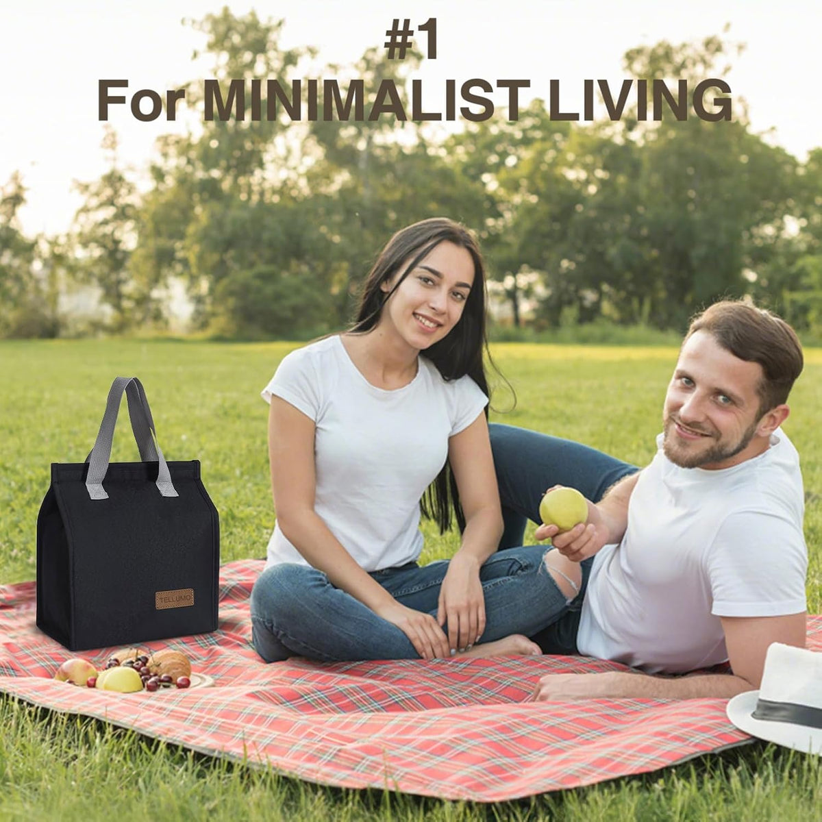TELLUMO Insulated Lunch Bag for Men Women, Large Reusable Leakproof Lunch Box Container, Small Portable Thermal Snack Bag, Reusable Travel Office Work Beach Cooler Tote Bag for Adults, Grey