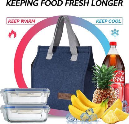 TELLUMO Insulated Lunch Bag for Men Women, Large Reusable Leakproof Lunch Box Container, Small Portable Thermal Snack Bag, Reusable Travel Office Work Beach Cooler Tote Bag for Adults, Grey