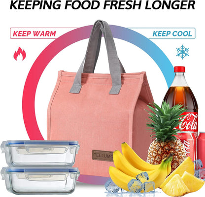 TELLUMO Insulated Lunch Bag for Men Women, Large Reusable Leakproof Lunch Box Container, Small Portable Thermal Snack Bag, Reusable Travel Office Work Beach Cooler Tote Bag for Adults, Grey