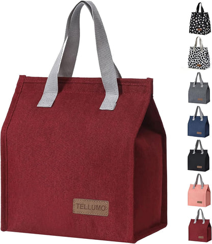 TELLUMO Insulated Lunch Bag for Men Women, Large Reusable Leakproof Lunch Box Container, Small Portable Thermal Snack Bag, Reusable Travel Office Work Beach Cooler Tote Bag for Adults, Grey