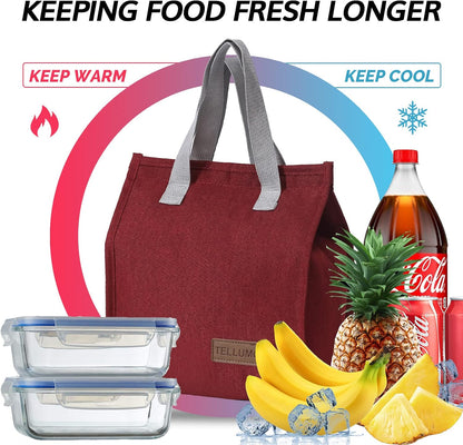 TELLUMO Insulated Lunch Bag for Men Women, Large Reusable Leakproof Lunch Box Container, Small Portable Thermal Snack Bag, Reusable Travel Office Work Beach Cooler Tote Bag for Adults, Grey