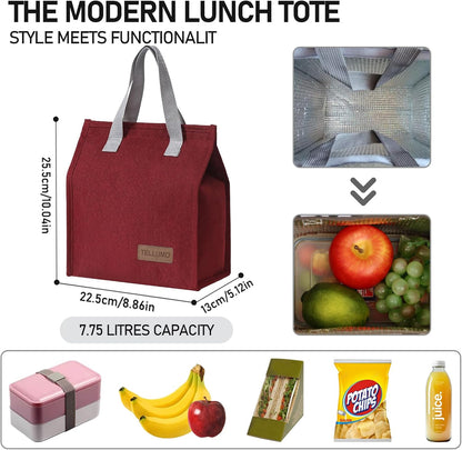 TELLUMO Insulated Lunch Bag for Men Women, Large Reusable Leakproof Lunch Box Container, Small Portable Thermal Snack Bag, Reusable Travel Office Work Beach Cooler Tote Bag for Adults, Grey