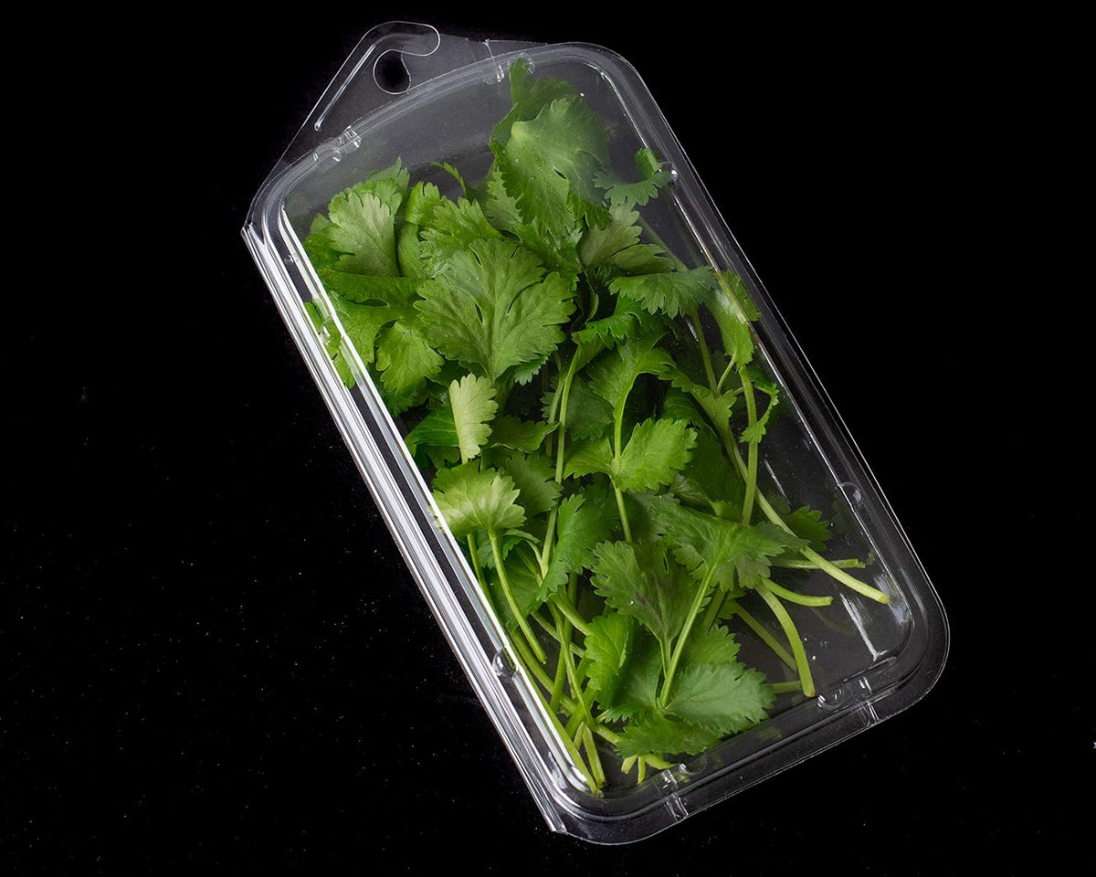 2 Ounce Large Herb Clamshell Container - Disposable - Pack of 20