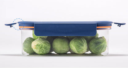 Tritan Plastic Bisfree Modular Plus Food Storage Container Set, Lunch, Meal Prep, Stackable, BPA-Free, Leakproof, Freezer-Safe, 4 Pieces, 2 Boxes and 2 Lids, Navy, 2.1L