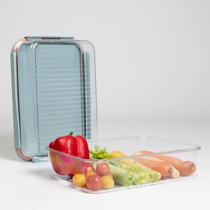 Tritan Plastic Bisfree Modular Plus Food Storage Container Set, Lunch, Meal Prep, Stackable, BPA-Free, Leakproof, Freezer-Safe, 4 Pieces, 2 Boxes and 2 Lids, Navy, 2.1L