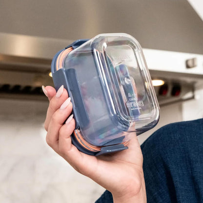 Tritan Plastic Bisfree Modular Plus Food Storage Container Set, Lunch, Meal Prep, Stackable, BPA-Free, Leakproof, Freezer-Safe, 4 Pieces, 2 Boxes and 2 Lids, Navy, 2.1L
