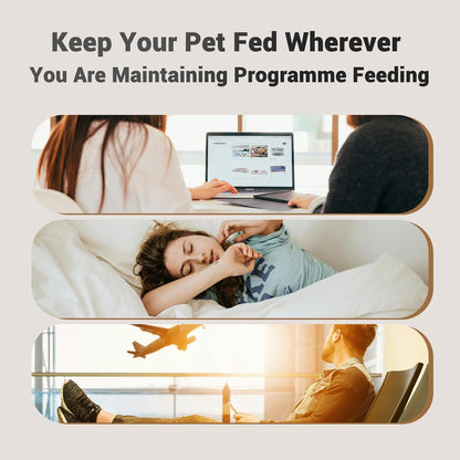 Automatic Cat Feeder: 4L Timed Cats Food Dispenser Programmable