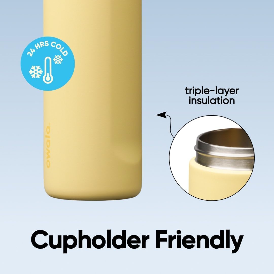 FreeSip Insulated Stainless Steel Water Bottle with Straw for Sports and Travel, BPA-Free, 32oz, Foggy Tide - Colors A