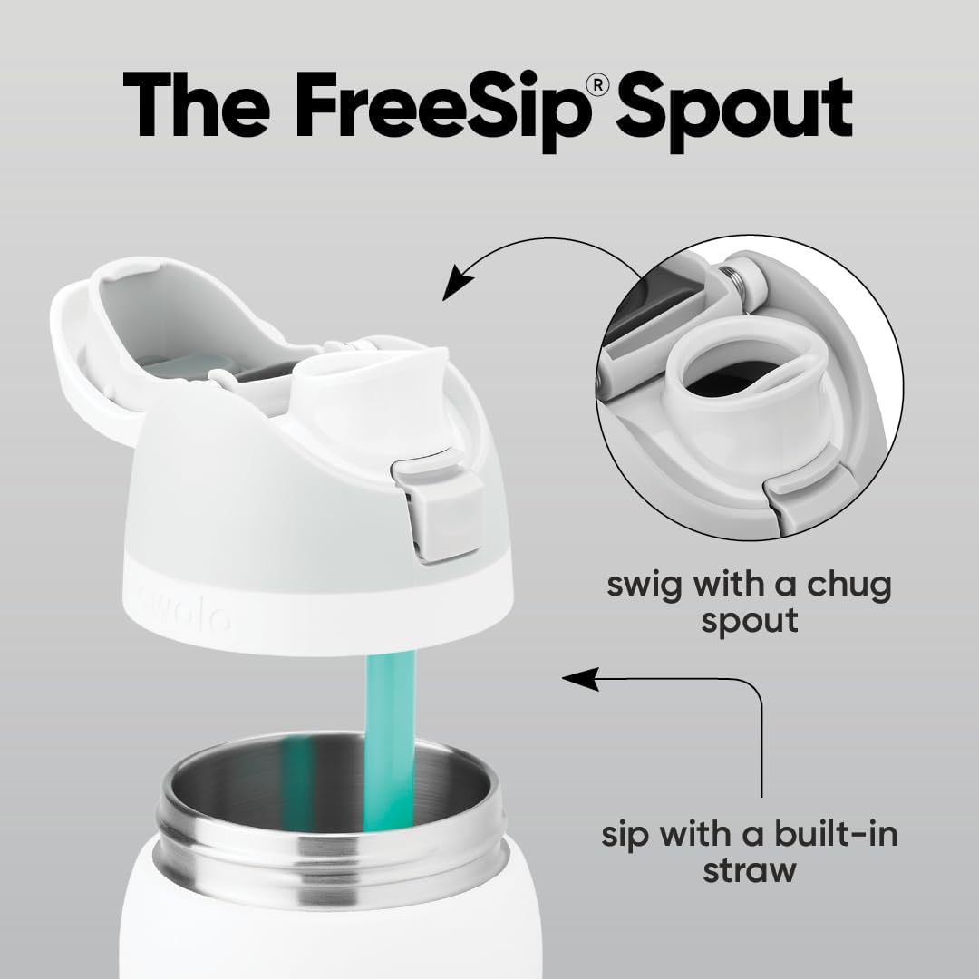 FreeSip Insulated Stainless Steel Water Bottle with Straw for Sports and Travel, BPA-Free, 32oz, Foggy Tide - Colors A