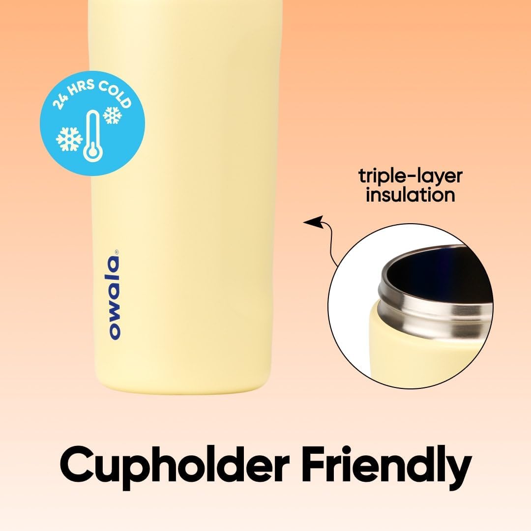 FreeSip Insulated Stainless Steel Water Bottle with Straw for Sports and Travel, BPA-Free, 32oz, Foggy Tide - Colors A