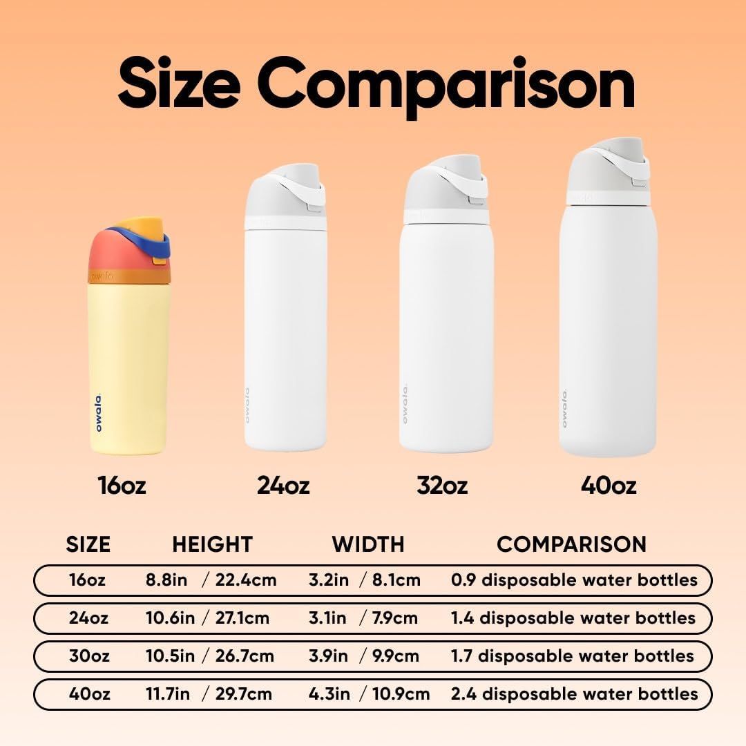 FreeSip Insulated Stainless Steel Water Bottle with Straw for Sports and Travel, BPA-Free, 32oz, Foggy Tide - Colors A