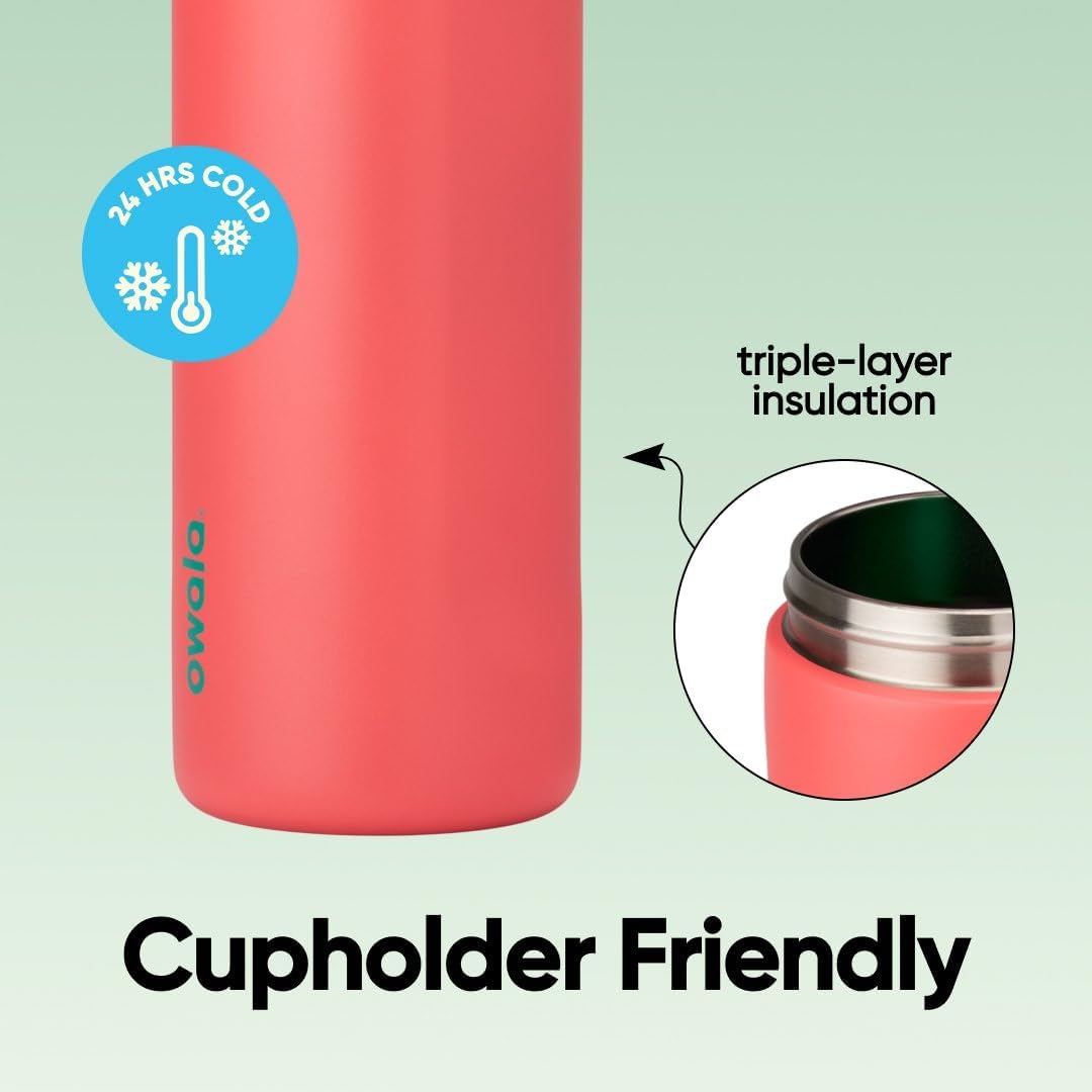FreeSip Insulated Stainless Steel Water Bottle with Straw for Sports and Travel, BPA-Free, 32oz, Foggy Tide - Colors A