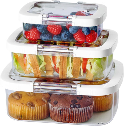 Duo Loc Deli Meat Containers for Fridge with Airtight Lids, Stackable Refrigerator Organizer for Lunch Meat Storage Sandwich Ham Cheese Salami Sliced Turkey, Clear Tritan Box (Cold Cuts 3pk)