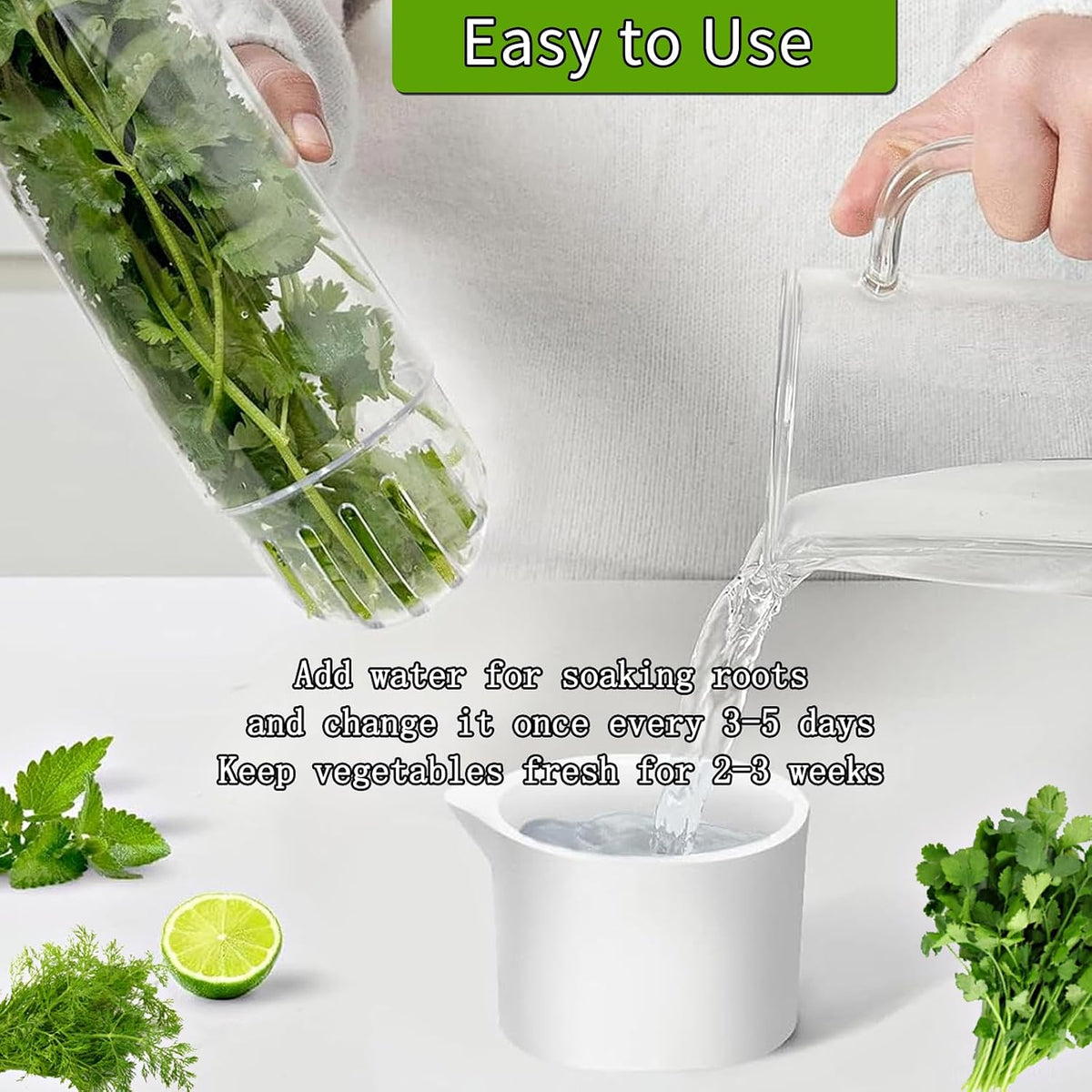 Herb Saver for Refrigerator, Herb Saver Pod Cilantro Containers for Refrigerator, Fresh Herb Keeper for Cilantro, Parsley, Asparagus, Mint, Keeps Greens Vegetables for 2-3 Weeks (Herb Keeper)