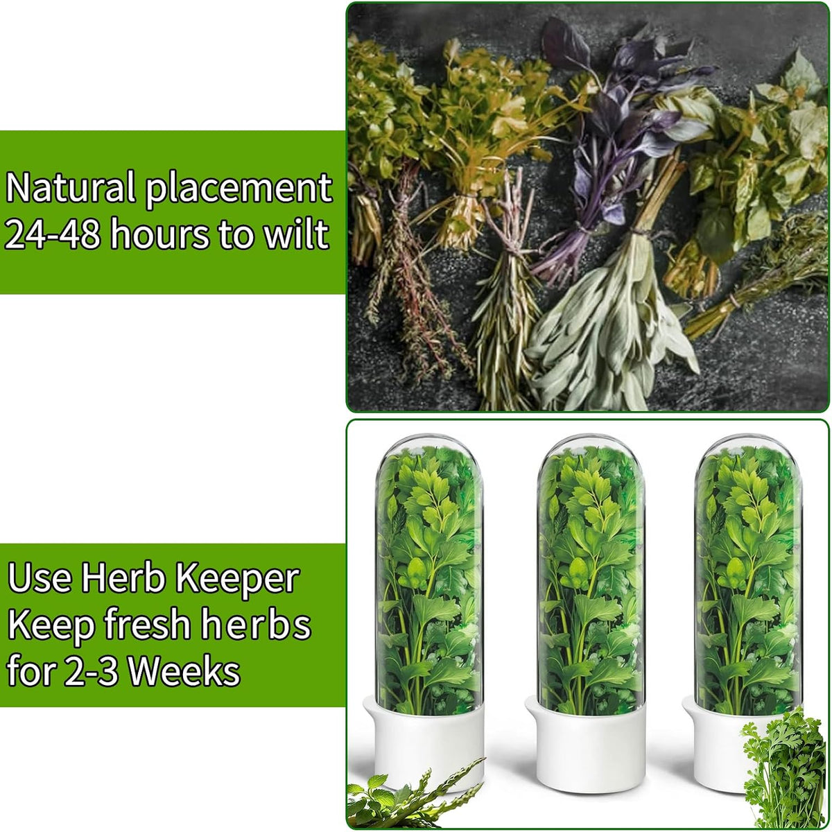 Herb Saver for Refrigerator, Herb Saver Pod Cilantro Containers for Refrigerator, Fresh Herb Keeper for Cilantro, Parsley, Asparagus, Mint, Keeps Greens Vegetables for 2-3 Weeks (Herb Keeper)